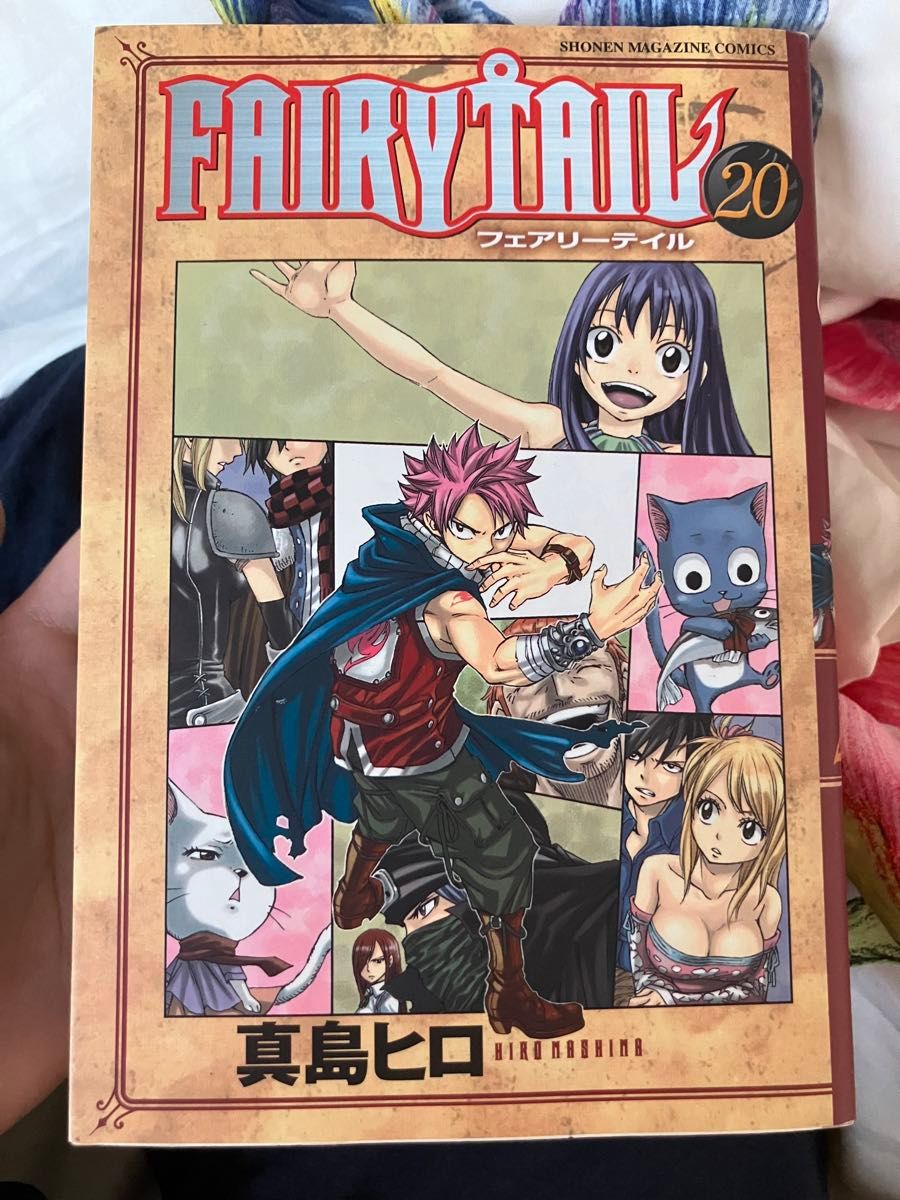 FAIRYTAIL 20巻　（他の巻も出品中です。2巻セットで同額販売できるのでご希望の際はお教えください。）