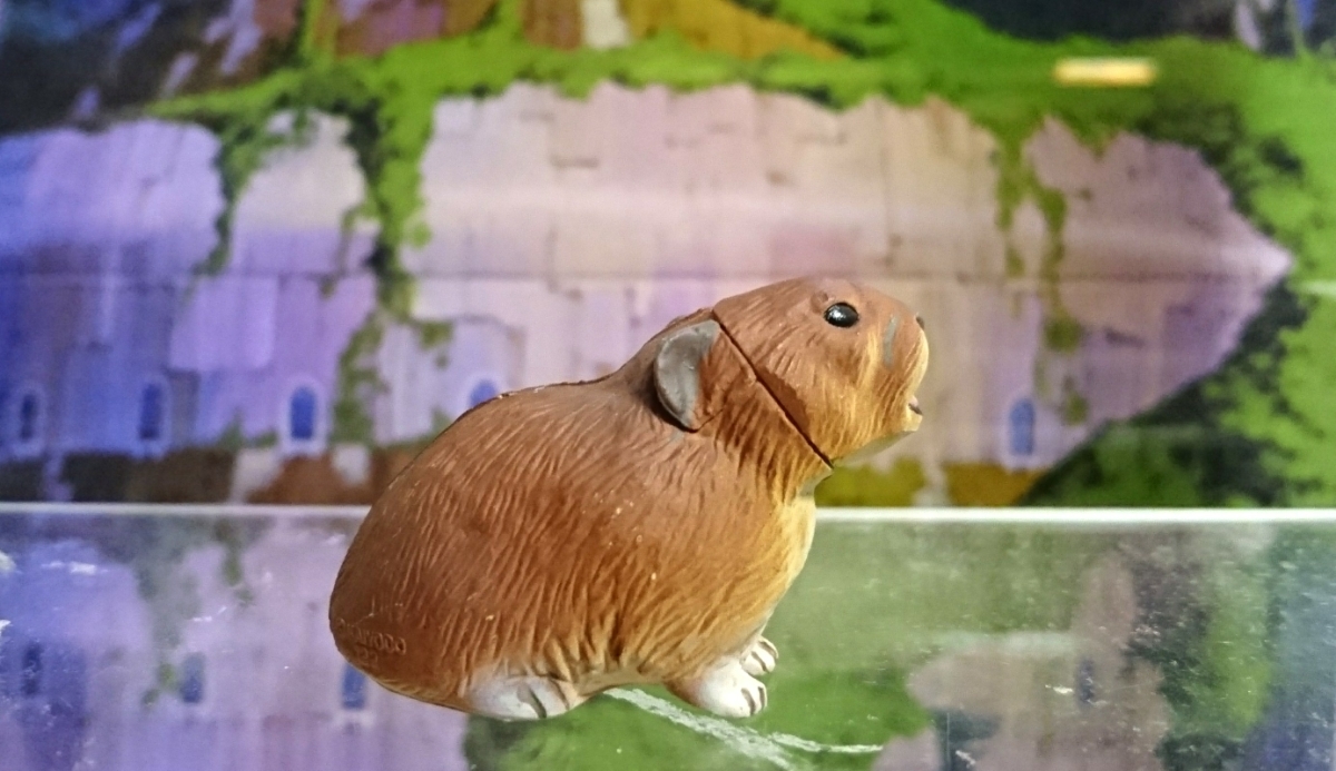 チョコエッグ 日本の動物 第5弾 エゾナキウサギ_画像5