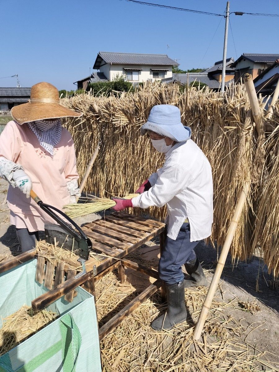 無肥料無農薬無除草剤、自然農法令和5年度産ハッピーヒル玄米2kg