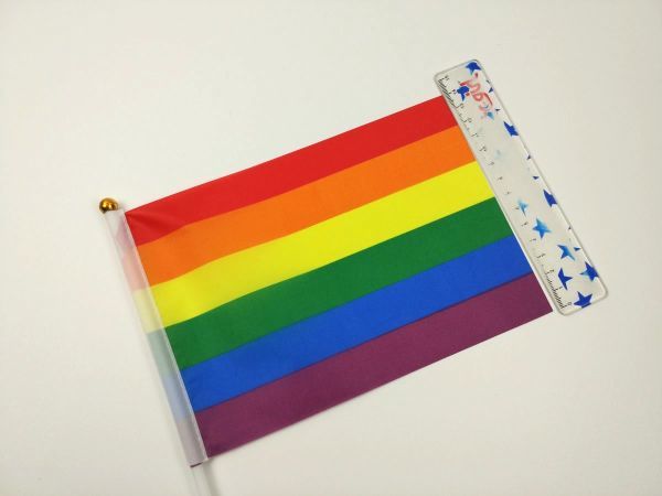 レインボーフラッグ 旗 ミニフラッグ 10点セット 8号 棒付き LGBTの画像4