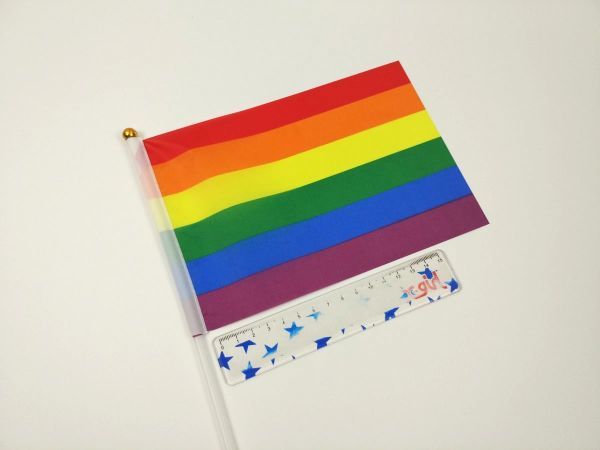 レインボーフラッグ 旗 ミニフラッグ 10点セット 8号 棒付き LGBTの画像3