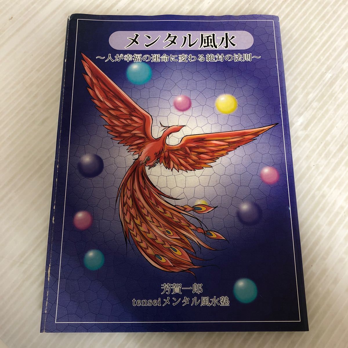 F-ш/ メンタル風水 人が幸福の運命に変わる絶対の法則 著/芳賀一郎 tenseiメンタル風水熟 平成22年12月30日第3刷発行の画像1