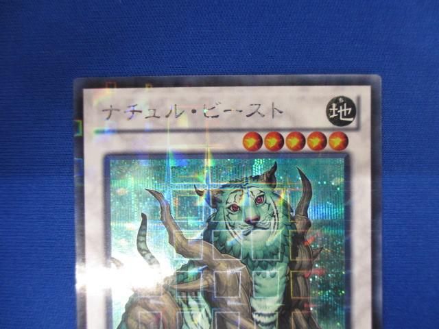 トレカ 遊戯王 DTC1-JP082 ナチュル・ビースト シークレット_画像3