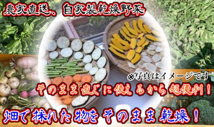 農家自家製お任せ乾燥野菜120g 期間限定値下げ！の画像1