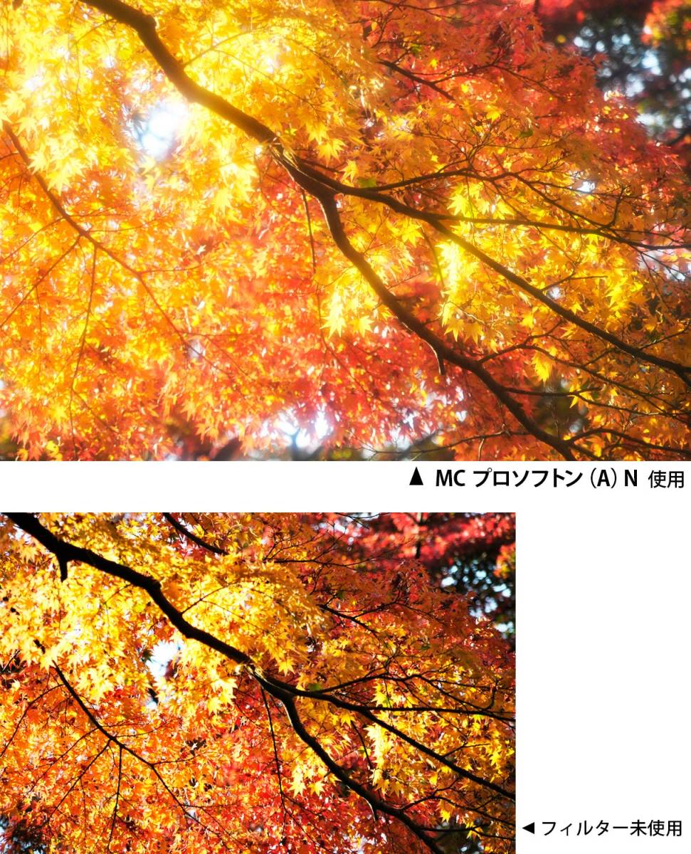 【特価商品】(A) プロソフトン N MC 67mm レンズフィルター ソフト効果用 Kenko 367902_画像2