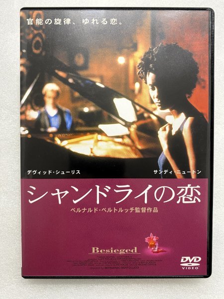 セル版 DVD シャンドライの恋 ベルナルド・ベルトルッチ サンディ・ニュートン デヴィット・シューリス_画像1