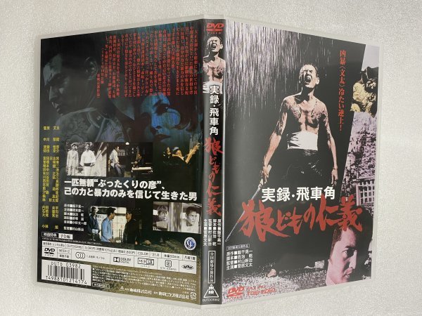 セル版 DVD 実録・飛車角 狼どもの仁義 菅原文太 中川梨絵 渡瀬恒彦 待田京介 小林旭 室田日出男 内田良平 村山新治 飯干晃一_画像4