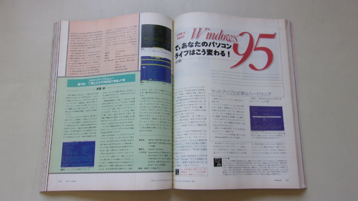 ASCII персональный компьютер объединенный журнал 1995 год 3 месяц номер No.213 специальный выпуск : это цифровой видео. все .! др. 