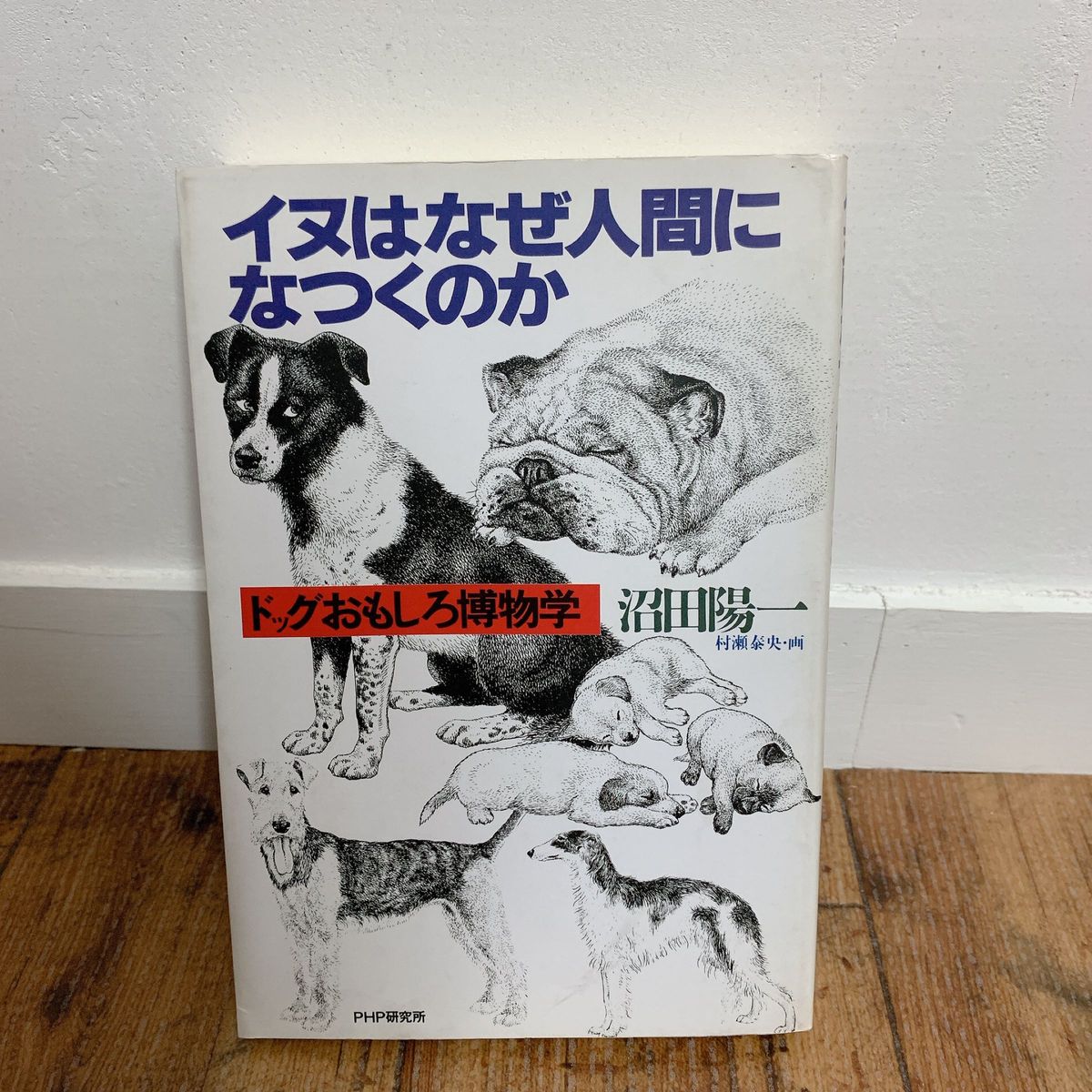 イヌはなぜ人間になつくのか　沼田陽一