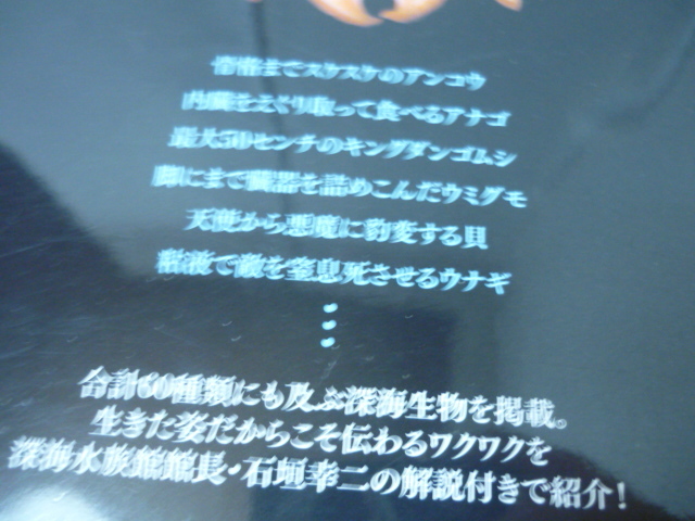  отправка 120~DVD имеется [ глубокий море живое существо ... веселый . кимоно камень .. 2 ].. комплектация 188 иен визуальная книга Numazu . глубокий море аквариум глубокий море низ . сеть .* глубокий море. ...