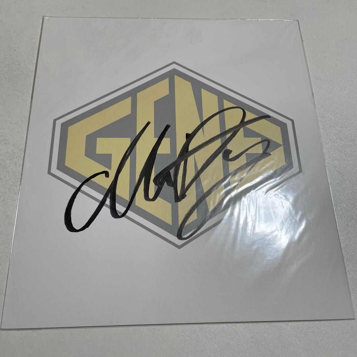 GENERATIONS from EXILE TRIBE 直筆 サイン色紙 メンバー全員 7 GENERATIONS from EXILE TRIBE 直筆 サイン色紙 メンバー全員 7