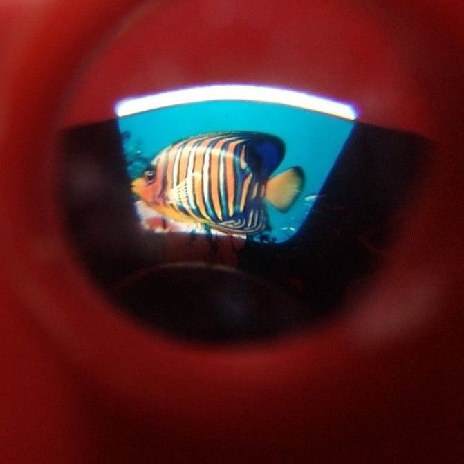 【その他に同梱＋50円】おもちゃのカメラ 中をのぞくと魚が見える 万華鏡みたいなオモチャ