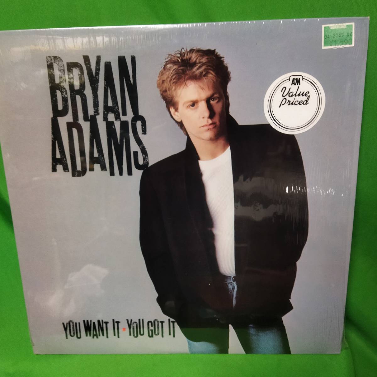 US盤 LP レコード Bryan Adams - You Want It, You Got It_画像1