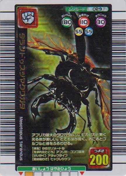 最愛 ☆トレカ☆甲虫王者ムシキングカード☆2005年夏限定デザイン