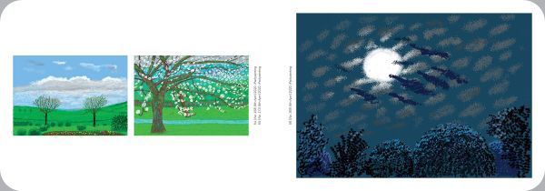 ★新品★送料無料★デイヴィッド・ホックニー iPadで描いたアート作品集★David Hockney ★デビッド・ホックニー_画像3