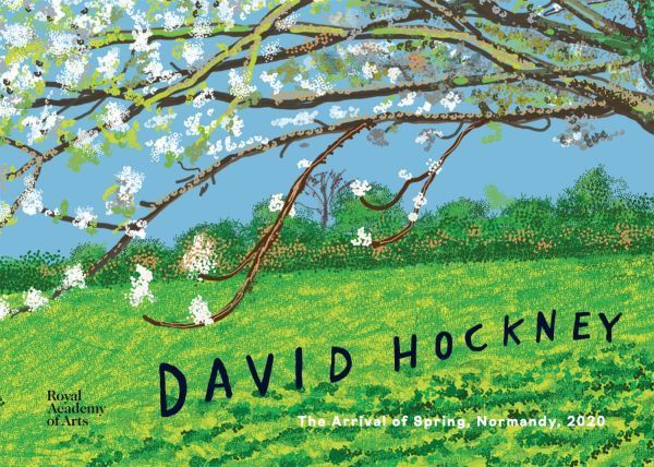 ★新品★送料無料★デイヴィッド・ホックニー iPadで描いたアート作品集★David Hockney ★デビッド・ホックニー_画像1