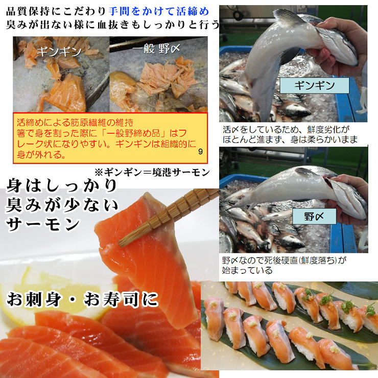 【１円～】鳥取県産【境港サーモン(銀鮭)】フィーレ(1枚4-500ｇ前後) 生食用 [冷凍] さけサケギンザケ銀鮭お歳暮お中元ギフト_画像5