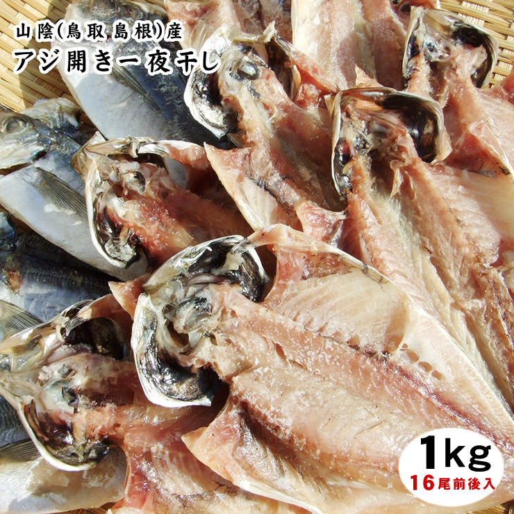 【1円～】日本海の鯵干物【アジ開き一夜干し】1ｋｇセット（250ｇパック×4袋・合計16-20尾程度入）［日本海産］〔冷凍〕あじ魚_画像1