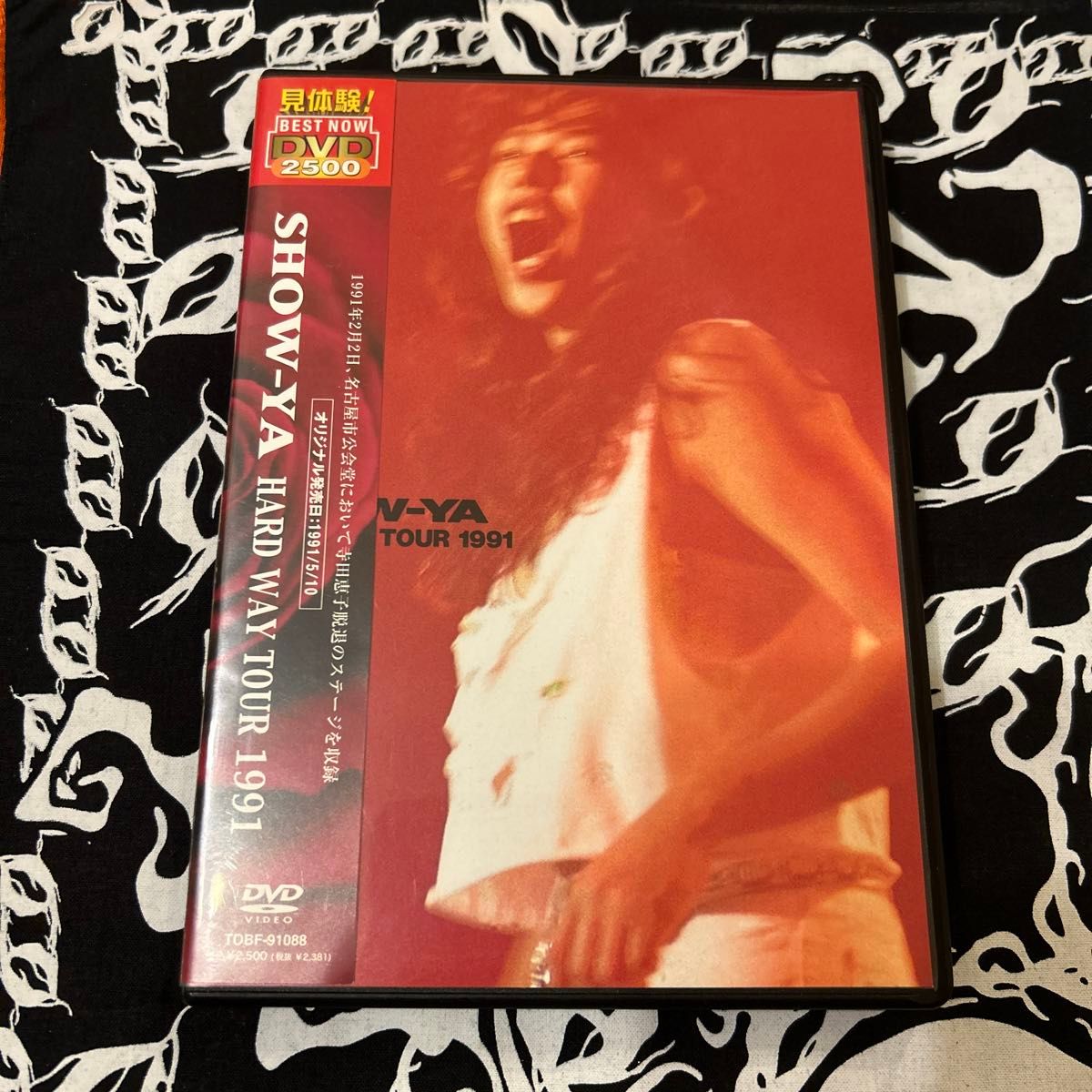 見体験！ ＢＥＳＴ ＮＯＷ ＤＶＤ ２５００：：ＨＡＲＤ ＷＡＹ ＴＯＵＲ １９９１／ＳＨＯＷ−ＹＡ