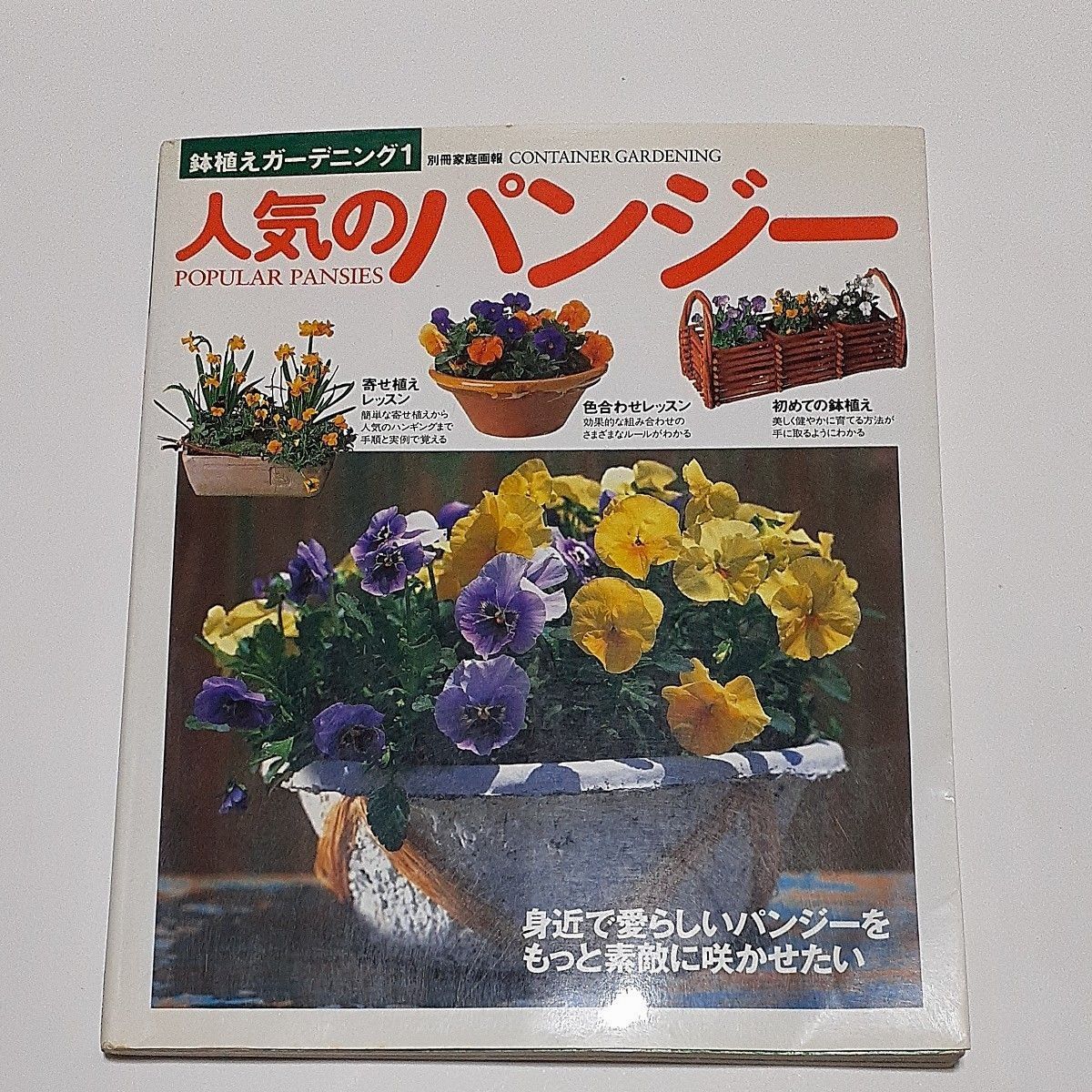 人気のパンジー 別冊家庭画報鉢植えガーデニング１／世界文化社