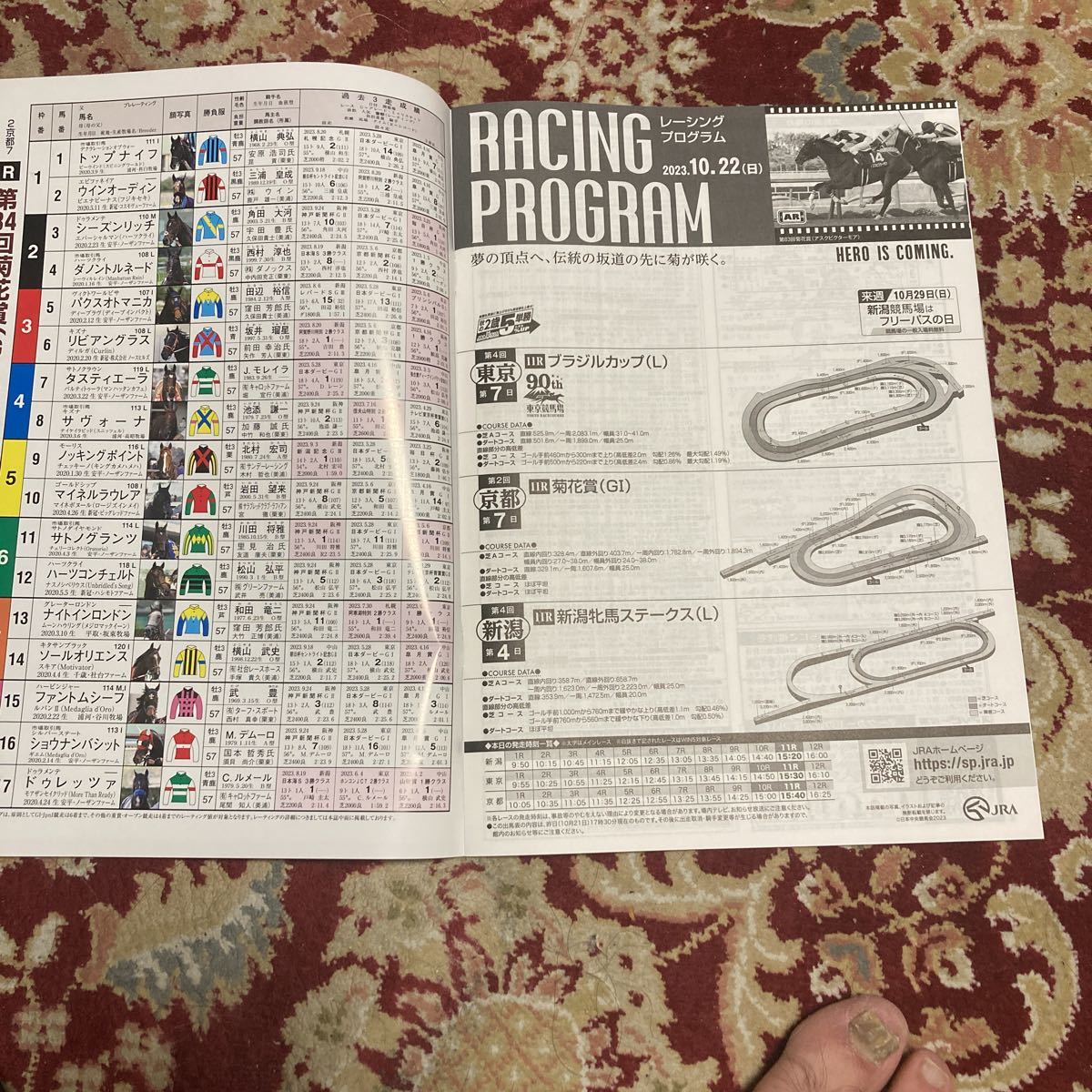 JRA Racing Program 2023.10.22( day ) chrysanthemum .(G I), Brazil cup (L), Niigata . horse stay ks(L)