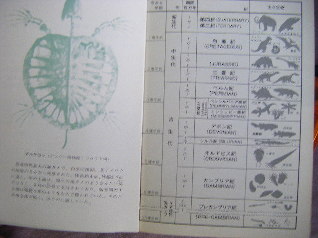 昭和48年初版　カラー自然ガイド　『失われた生物』　小島郁生著　保育者_画像5