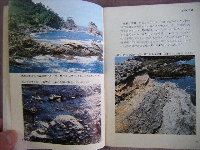 昭和48年初版　カラー自然ガイド　『失われた生物』　小島郁生著　保育者_画像6