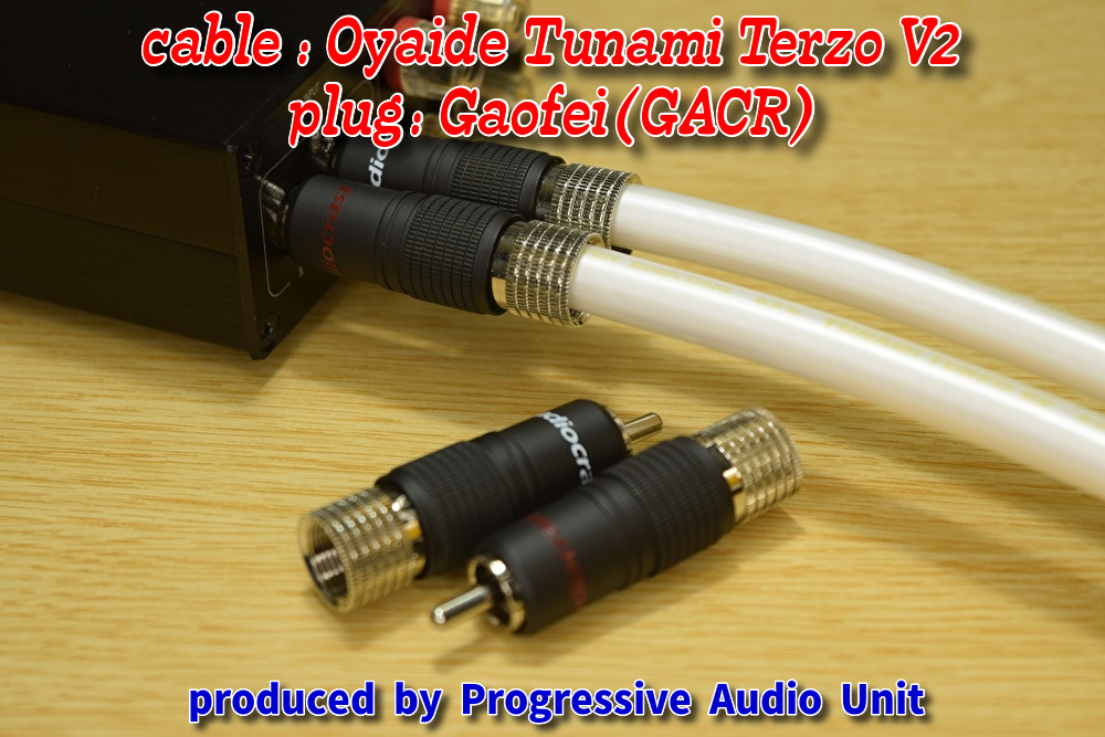 □□ Oyaide Tunami Terzo V2＋RCA Rp_plug（GACR）/0.95m×2本