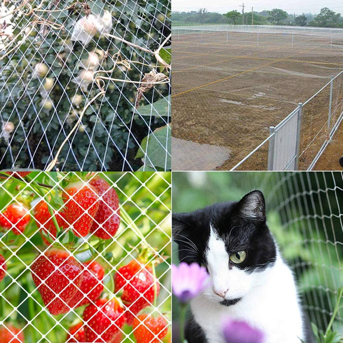  protection from birds * pest control net transparent color net pet . mileage prevention for bird ..kalas measures elasticity eminent veranda field fruit tree . vegetable clamping band attaching agriculture work thing usually using 