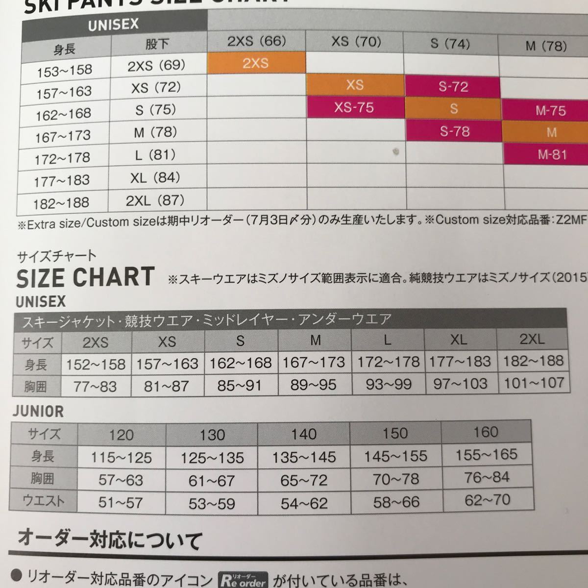 ロシア大手銀行 美品23モデル クリーニング済 MIZUNOスキーウエア上下 ロシア大手銀行 美品23モデル クリーニング済 MIZUNOスキーウエア上下