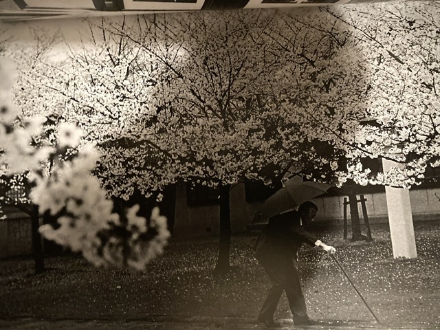 ABC20周年記念写真集 1986　検）大阪 関西 十三 吉行耕平 写真時代 荒木経惟 中平卓馬 アラーキー 森山大道 倉田精二 北島敬三 鬼海弘雄_画像3