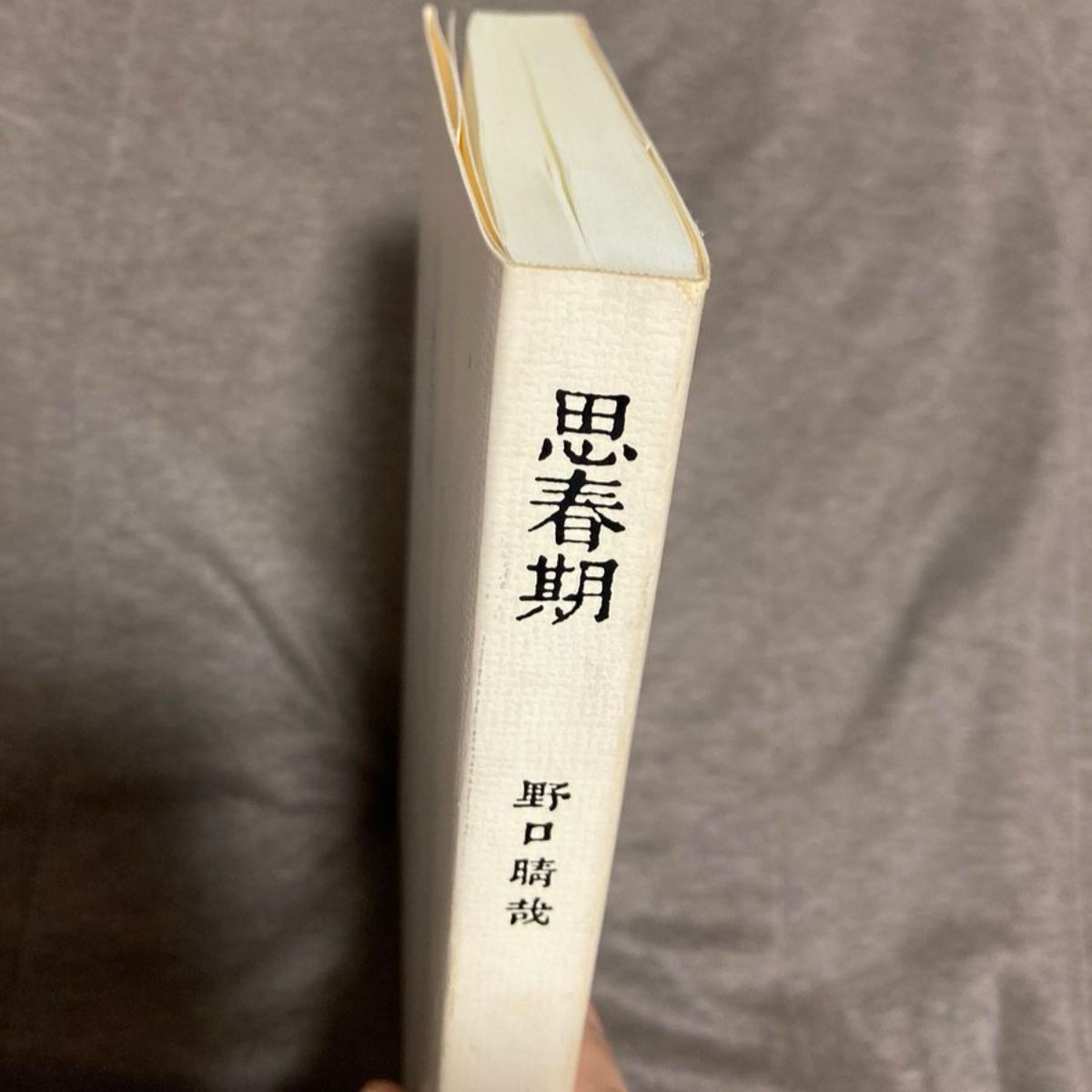 思春期 野口晴哉 野口整体