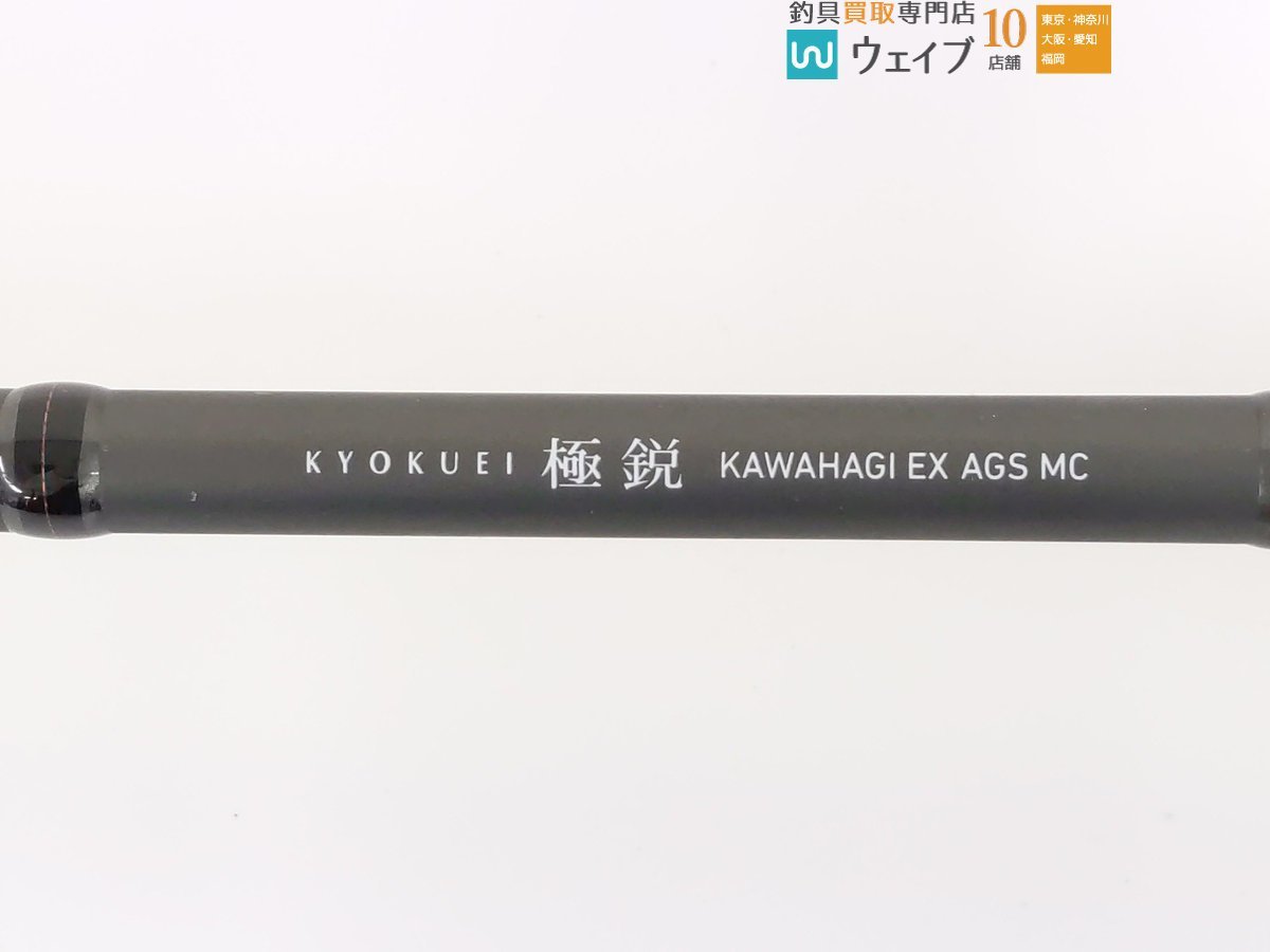 ダイワ 極鋭 カワハギ EX AGS MC_120U438452 (2).JPG