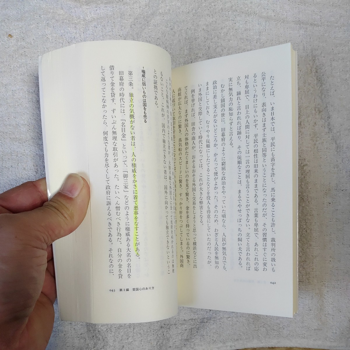 現代語訳　学問のすすめ (ちくま新書) 福澤 諭吉 斎藤 孝 訳あり ジャンク 9784480064707_画像7