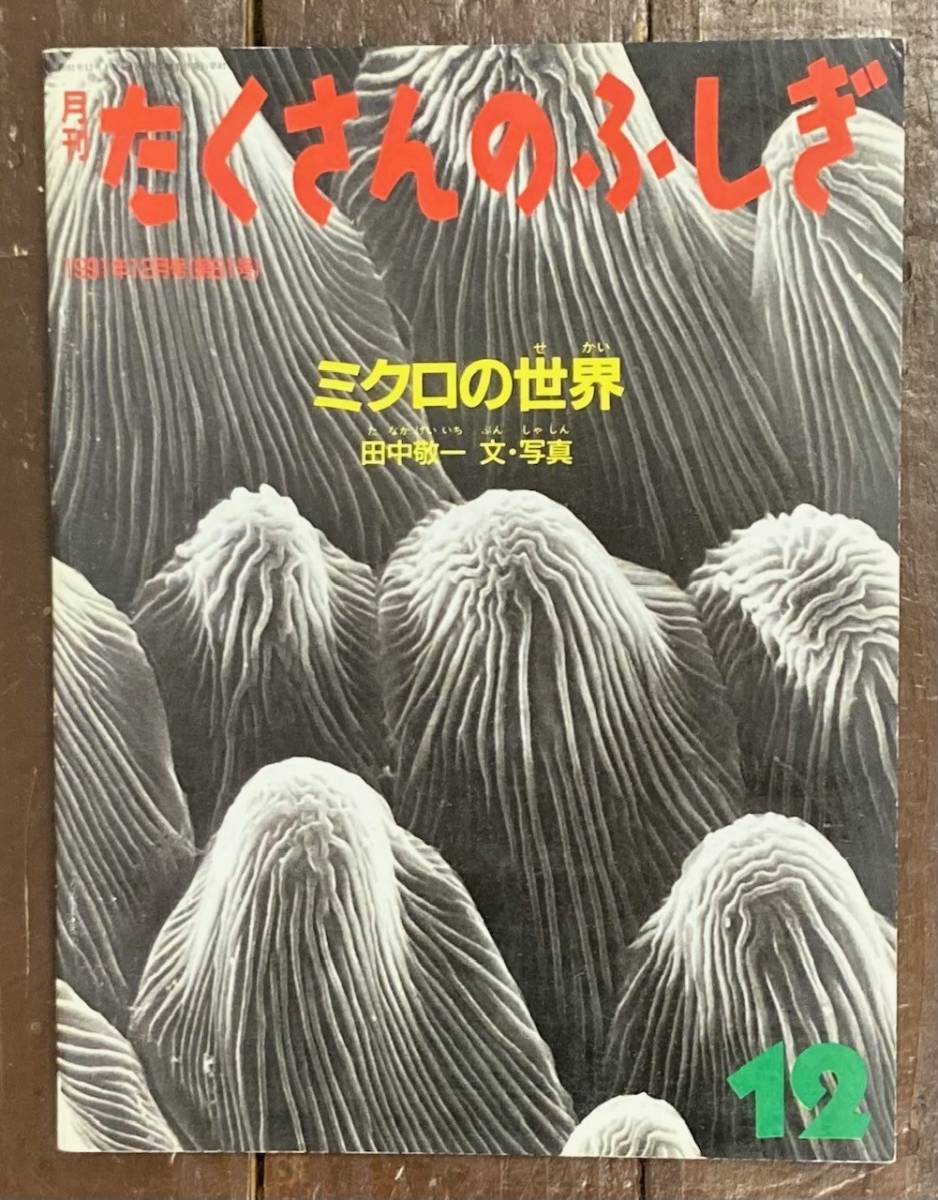 【即決】ミクロの世界 /田中 敬一/月刊 たくさんのふしぎ 81号/1991年/福音館書店/ふしぎ新聞/絵本/ペーパーバック/顕微鏡/電子顕微鏡_画像1