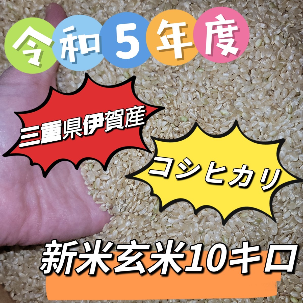 値下げ4200円→3999円！新米！大人気！玄米【令和5年産】三重県 伊賀米 コシヒカリ 10㎏ _画像1