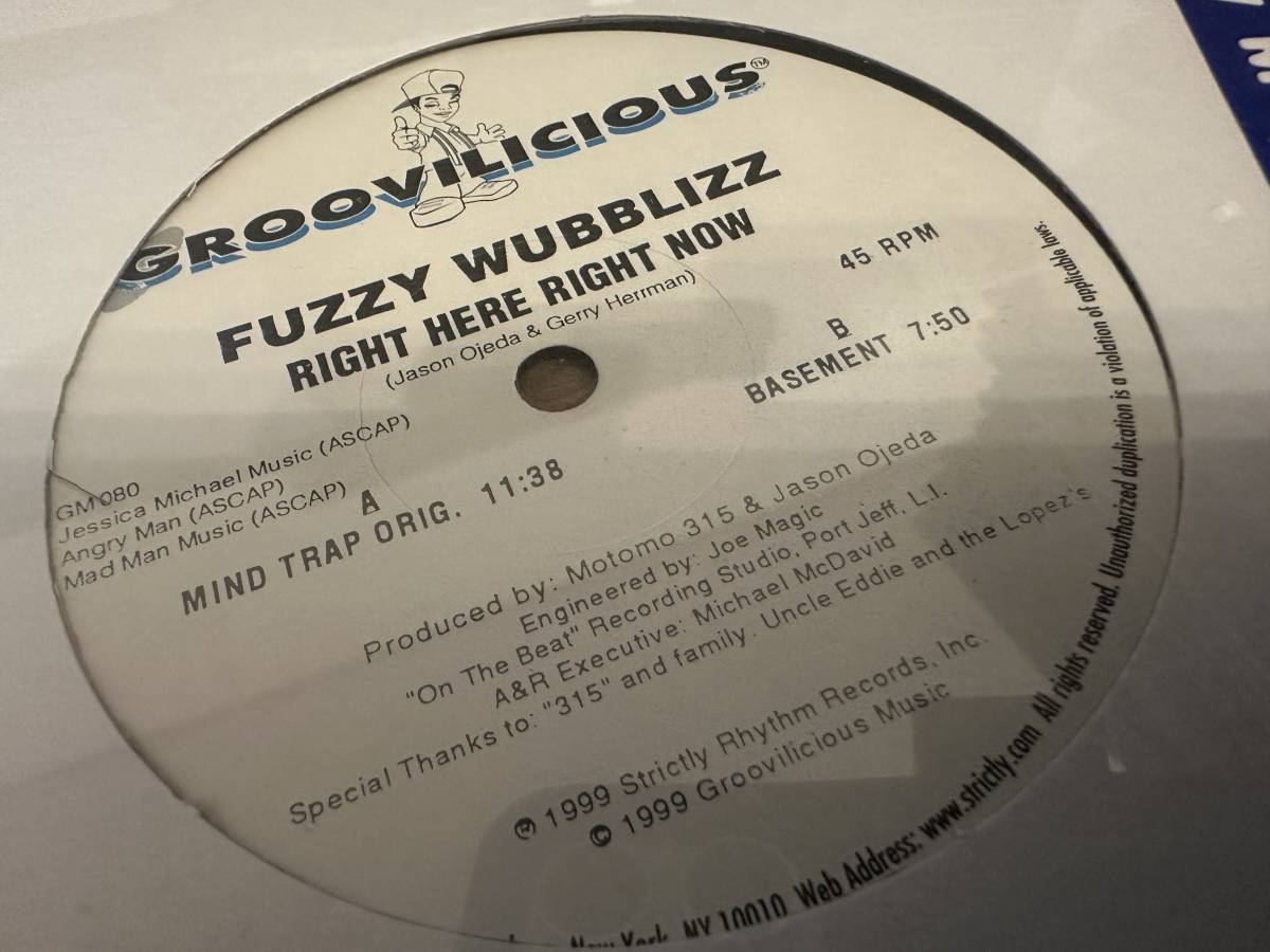 12”★Fuzzy Wubblizz / Right Here Right Now / プログレッシブ・ハウス！未開封_画像3
