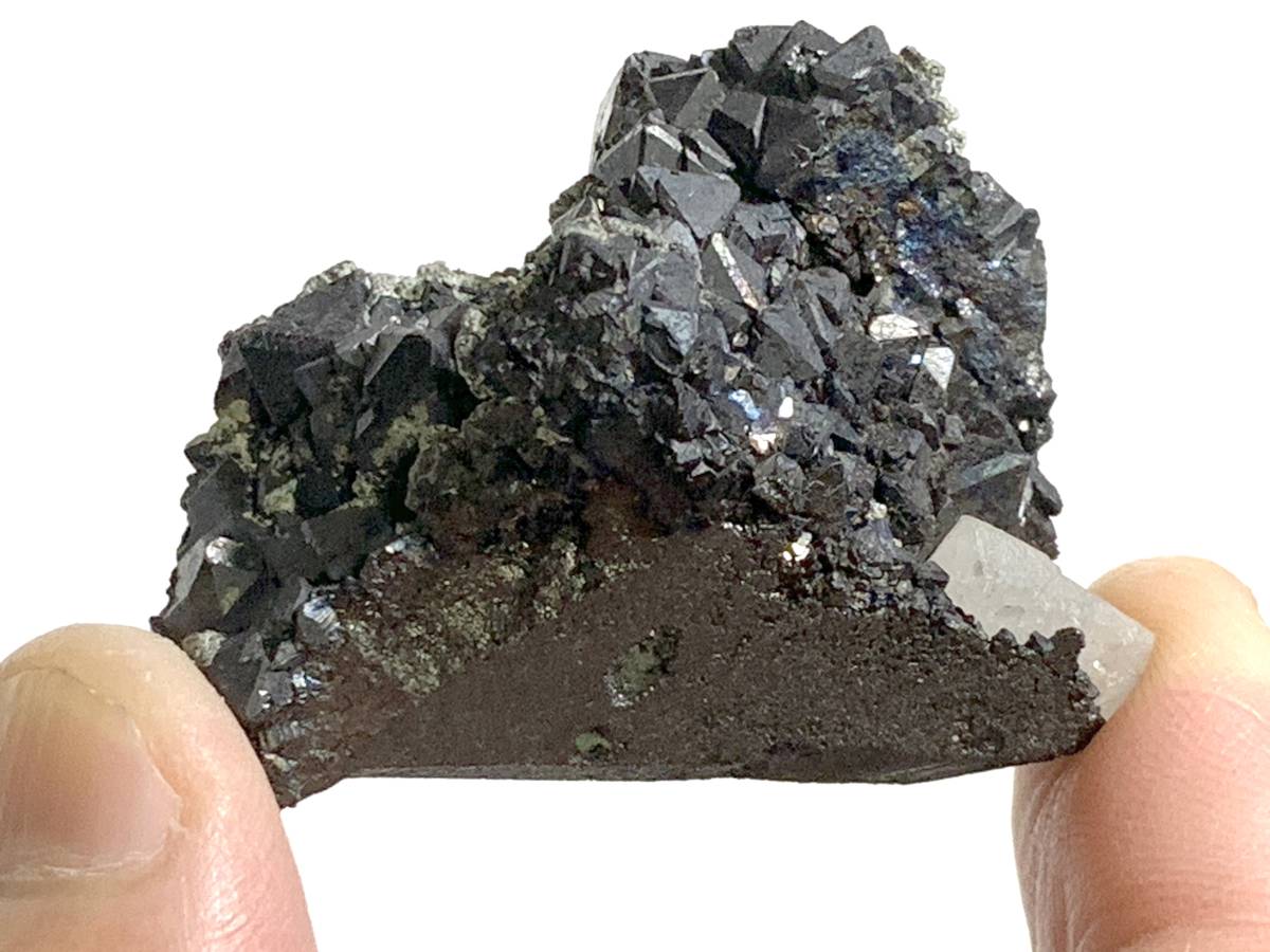 内蒙古産の磁鉄鉱と灰重石の共生・64g（中国産鉱物標本）_画像4