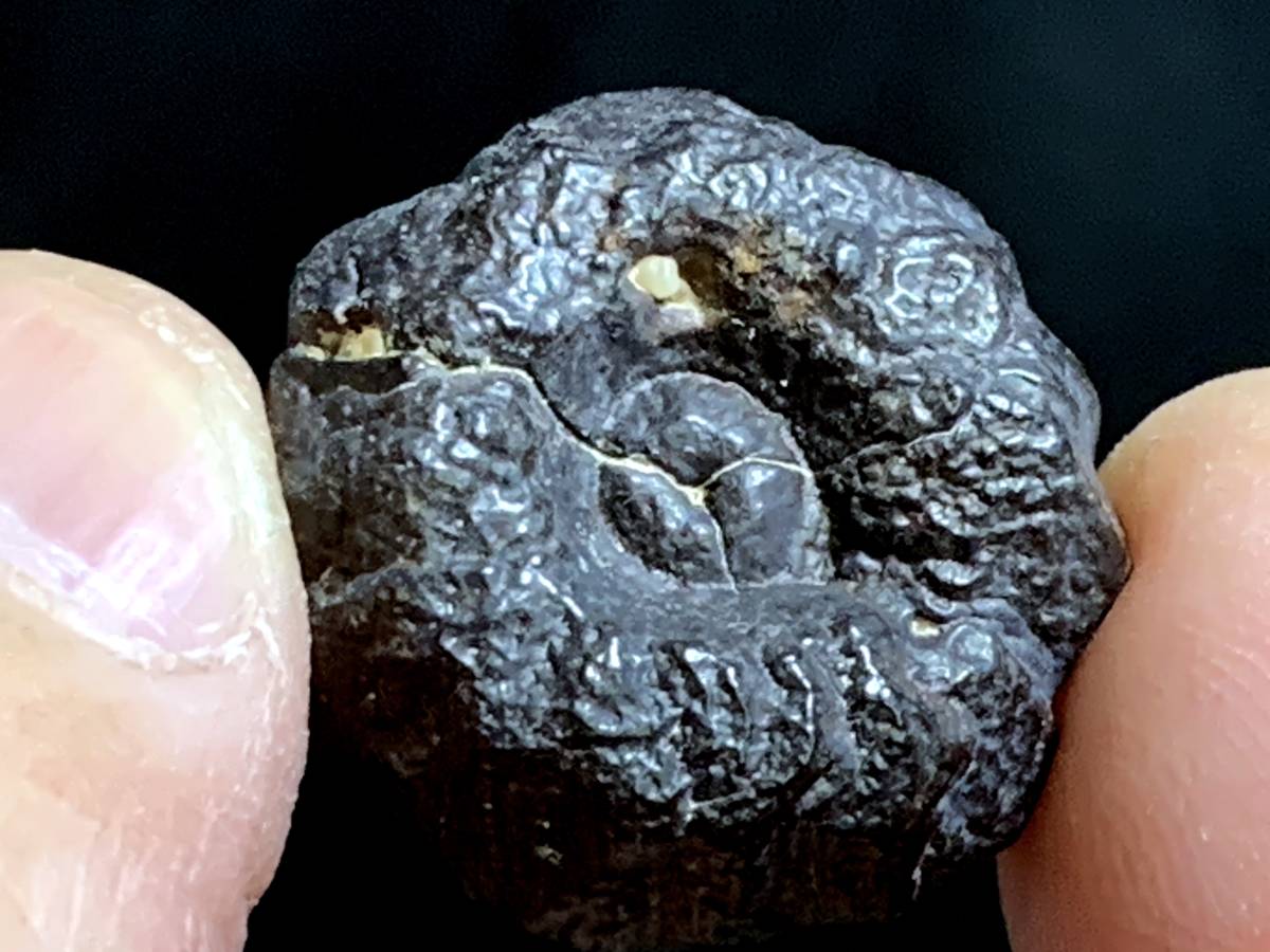 ユニークな形状のゼットストーン・預言石・5-10・8g（エジプト産鉱物標本）_画像2