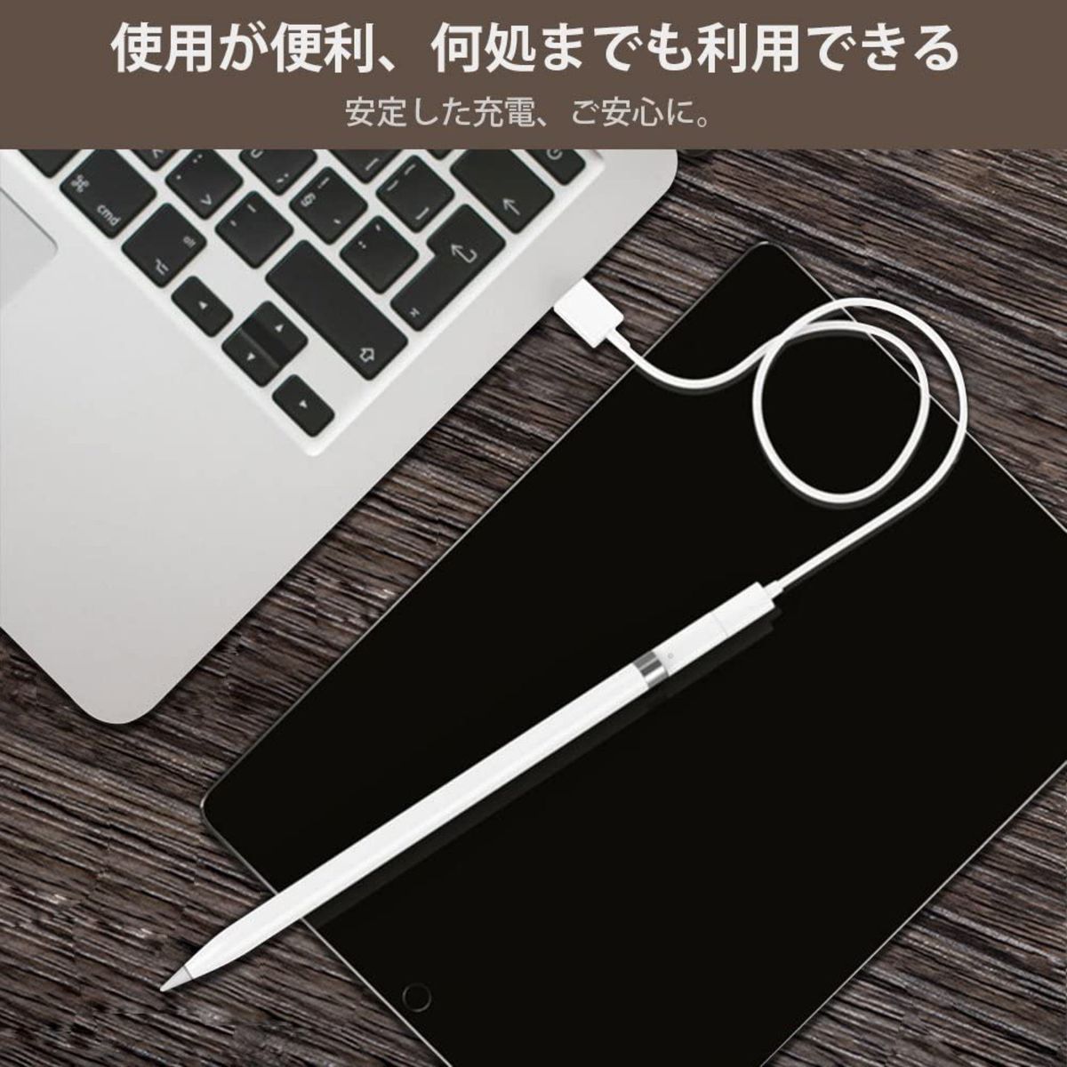 Apple Pencil 充電アダプター アップル ペンシル USBケーブル用変換アダプタ ApplePencil充電 ipad6