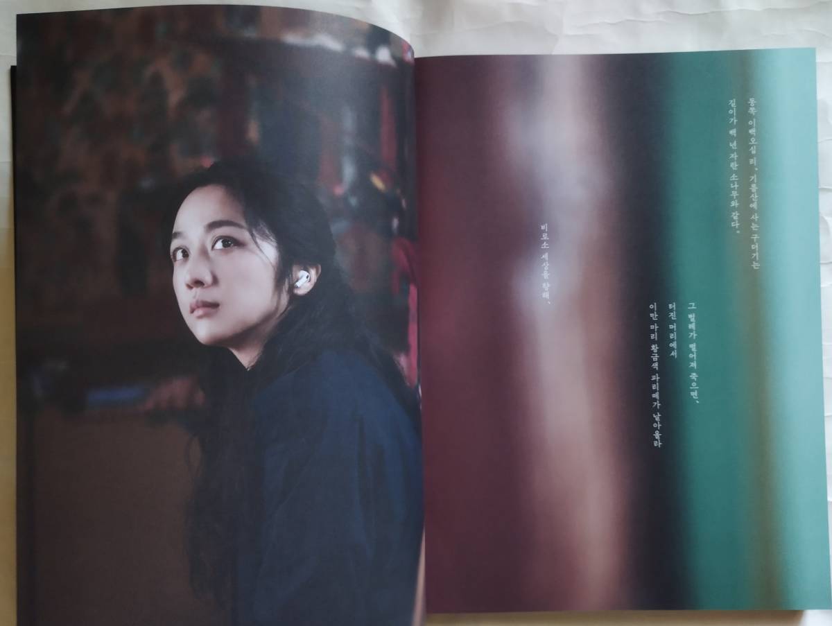 韓国映画 「 別れる決心 フォトブック 写真集 」タン・ウェイ、パク・へイル 2023年発行 韓国語_画像4