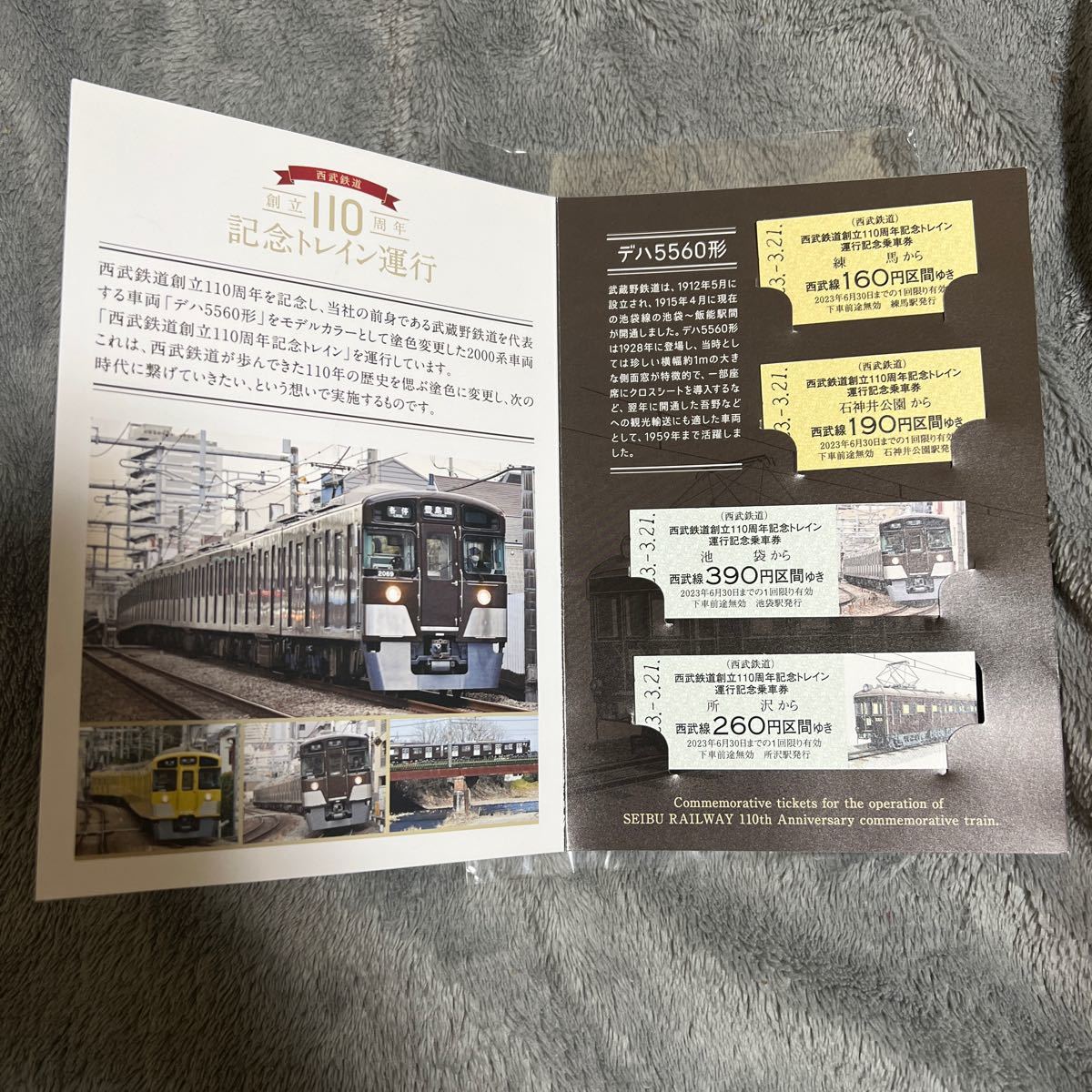 西武鉄道　創立110周年記念トレイン運行記念乗車券　池袋線新宿線_画像3
