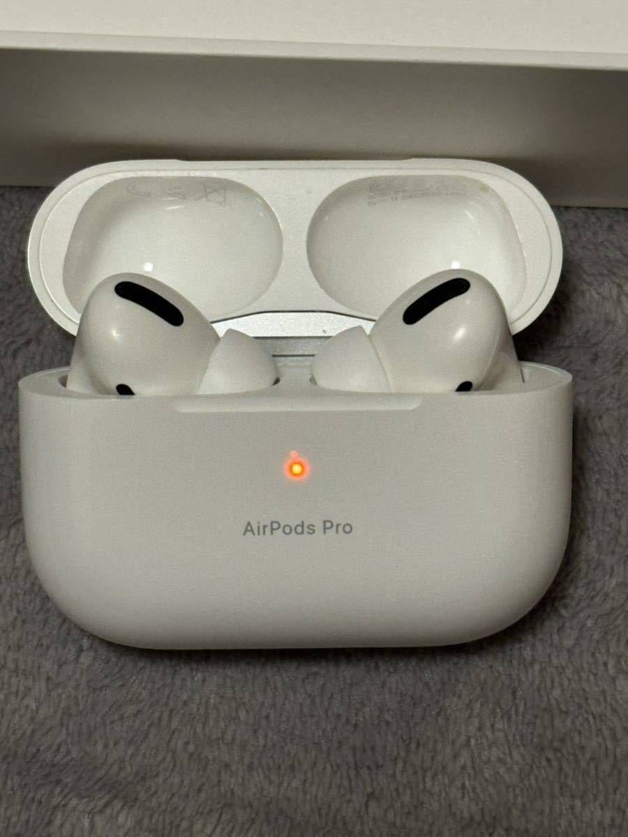 1円スタート【超美品】Apple AirPodsPro（第一世代）イヤーパッド（本体装着分と予備の全て）とライトニングケーブルは【未使用】PWP22J/A_画像3