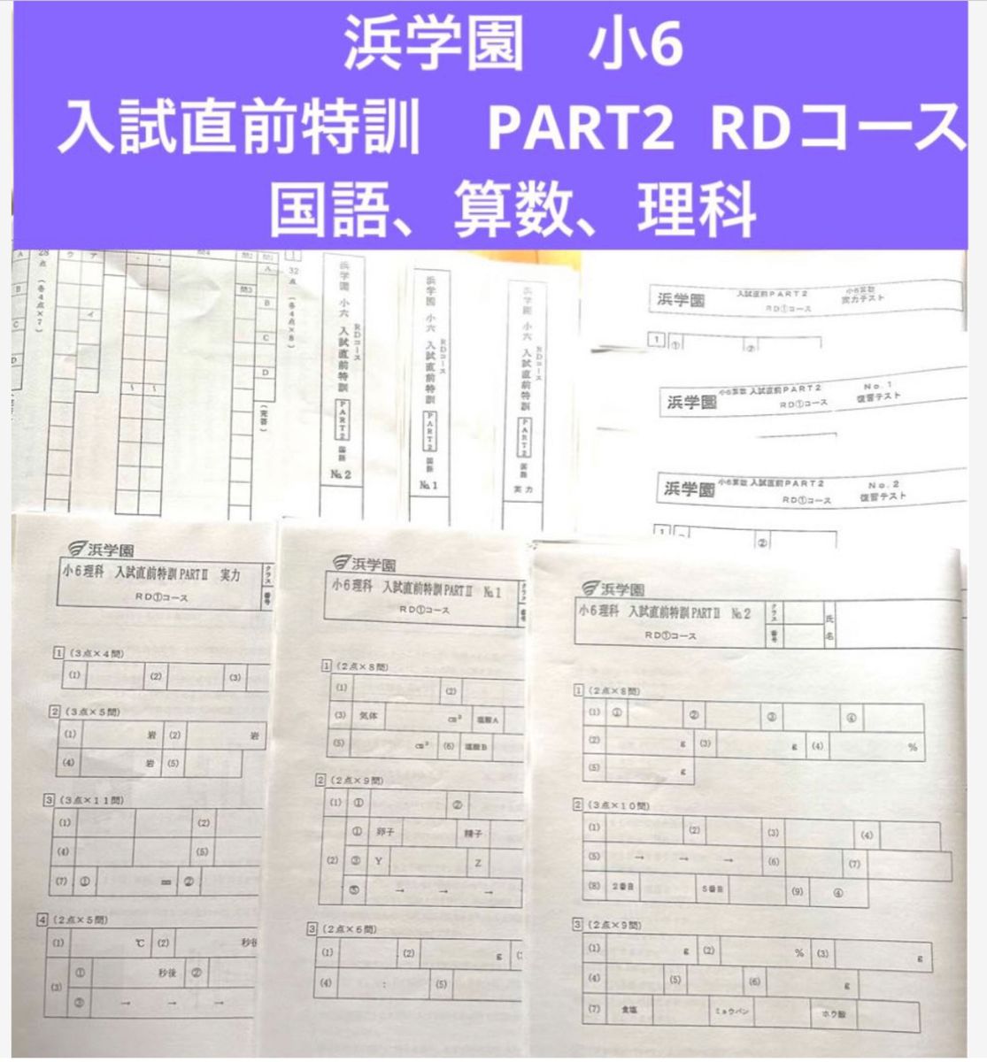 浜学園 小6 入試直前特訓 PART2 国語 算数 理科 復習テスト 浜学園 小6 入試直前特訓 PART2 国語 算数 理科 復習テスト