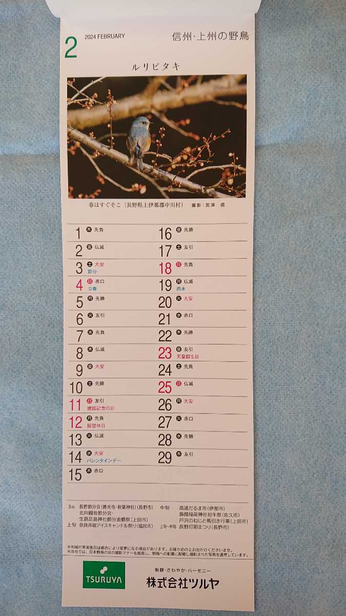 ★新品 非売品 ツルヤ TSURUYA オリジナルミニカレンダー 2024 信州・上州の野鳥 カレンダー calendar 野鳥 信州 上州 壁掛けの画像3