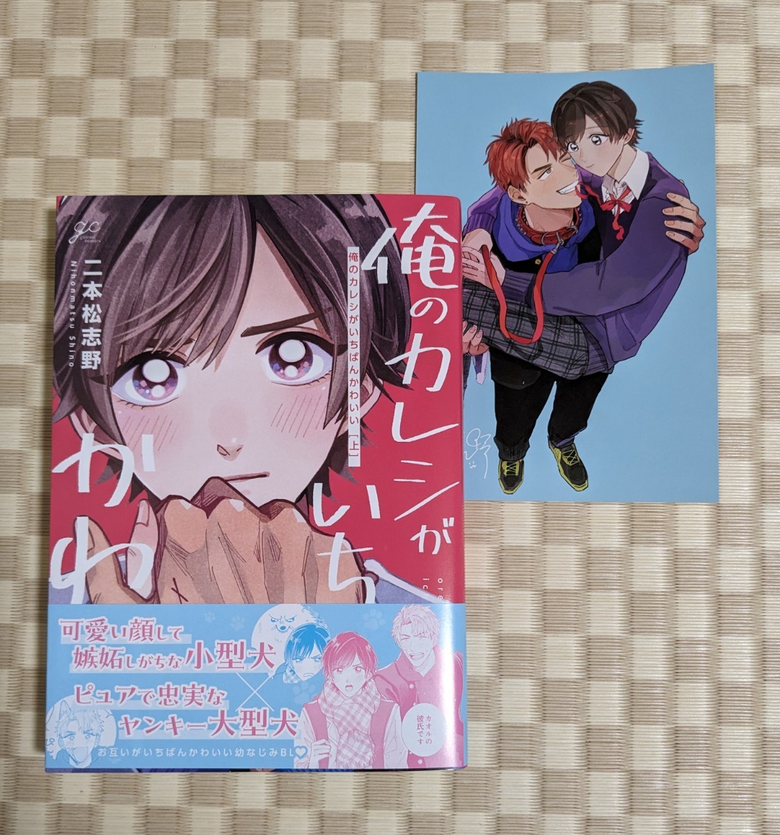 【俺のカレシがいちばんかわいい（上）】二本松志野☆コミコミスタジオ特典イラストカード付き☆2023年12月初版_画像1