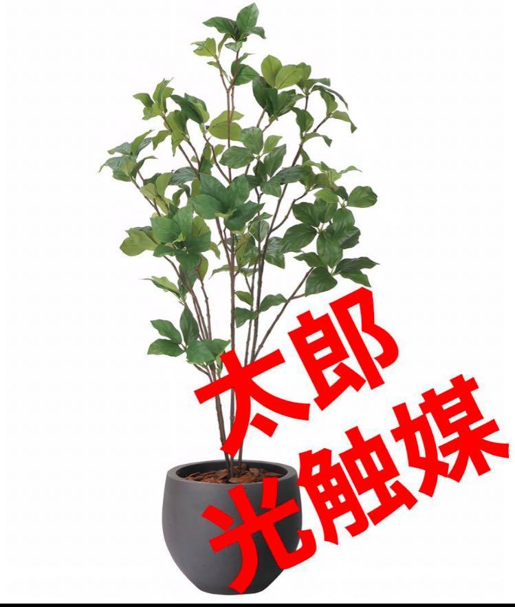 光の楽園 光触媒 人工観葉植物 ウォールグリーン フェイク 光の楽園 光触媒 人工観葉植物 ウォールグリーン フェイク