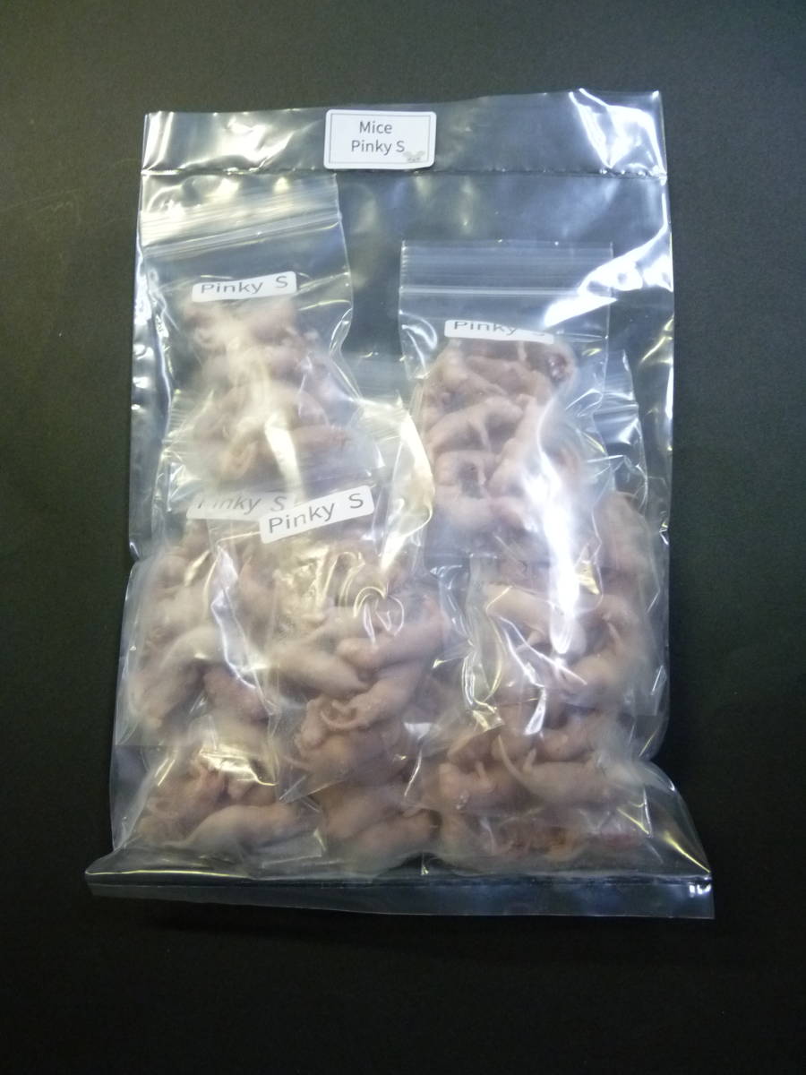 ●国産冷凍マウス ピンクS 100匹　本州九州四国限定送料無料_画像1