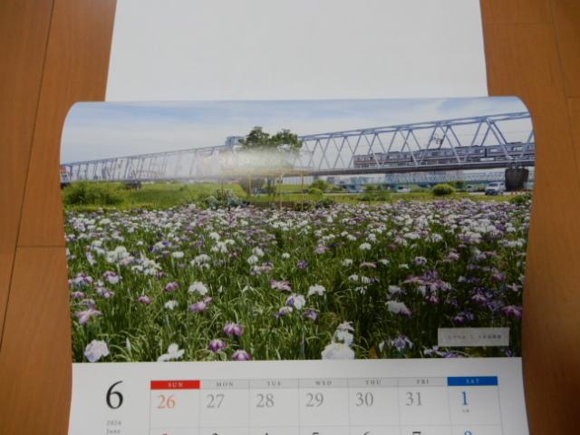 * not for sale higashi Kyosho . meeting place calendar 2024- Tokyo . four season. .- -years old hour chronicle poster /.. temple / feather tree park. plum / eyes Kurokawa. Sakura average tree / table three road. new green / small rock ...