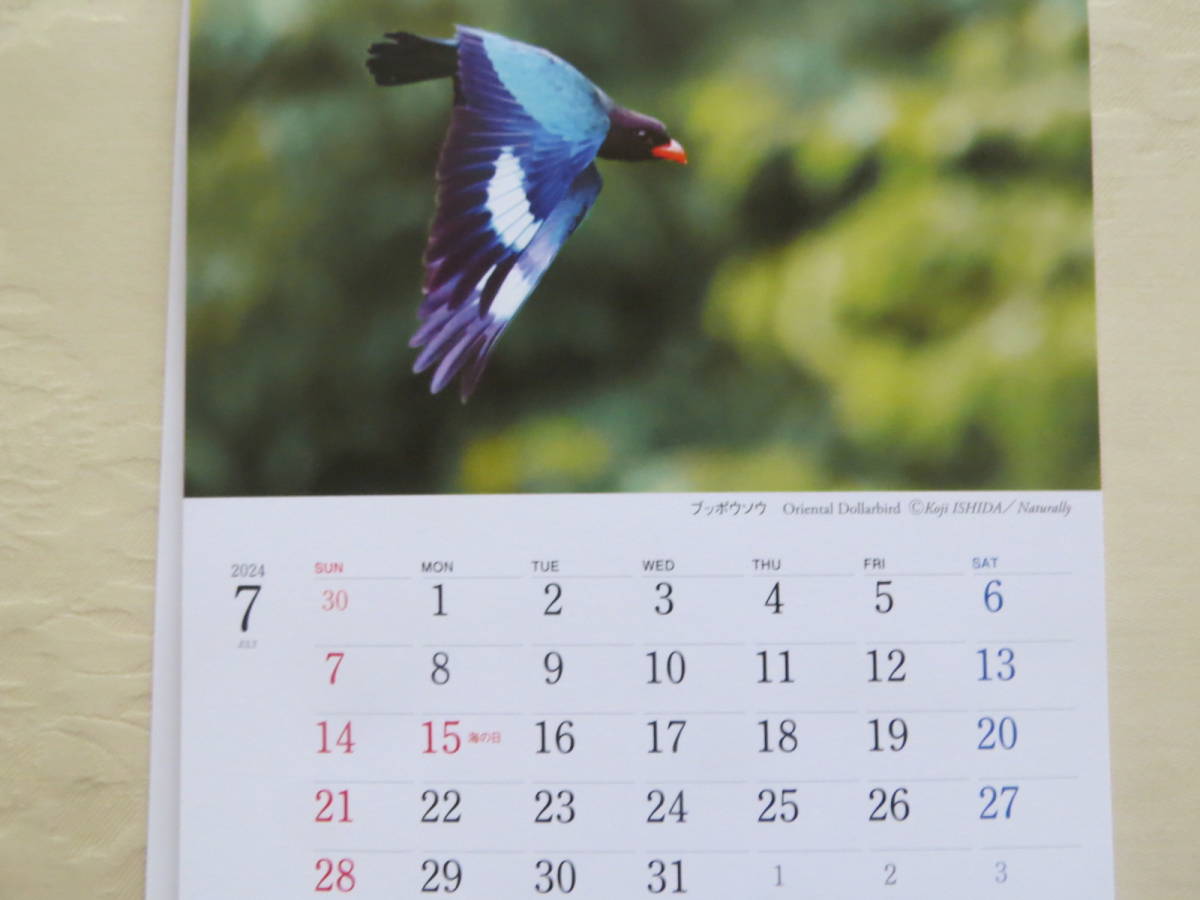日本野鳥の会2024カレンダー「BIRDS IN SEASONS」定価1320円 未開封 格安 #野鳥_画像3